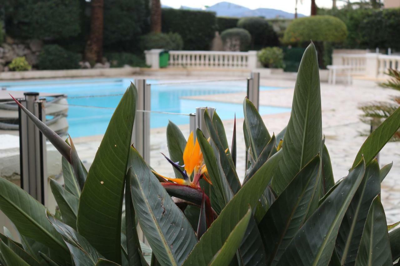 Appartement Palm D'Azur Cannes Ngoại thất bức ảnh